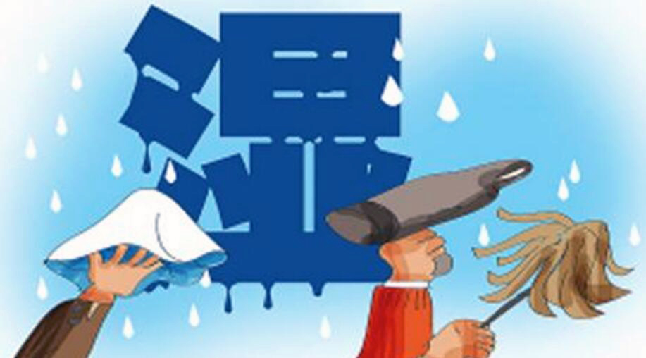除濕機的原理！回南天潮濕天氣怎樣，回南天防潮攻略？